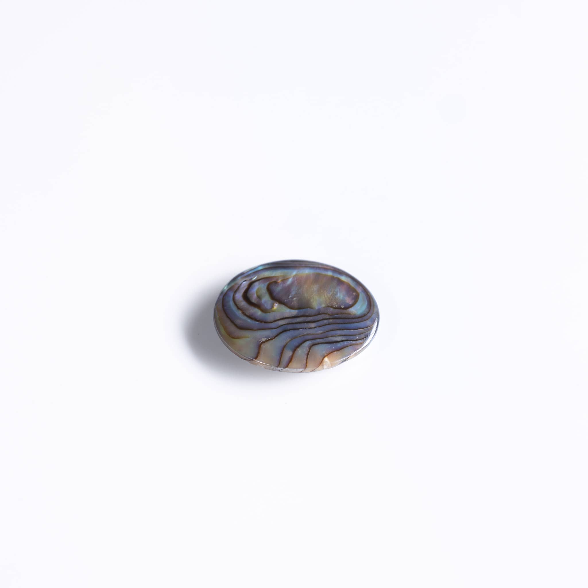 Abalone Natural - immagine 2