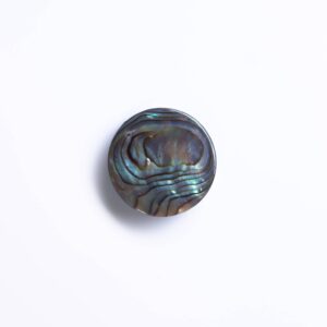 Abalone Natural