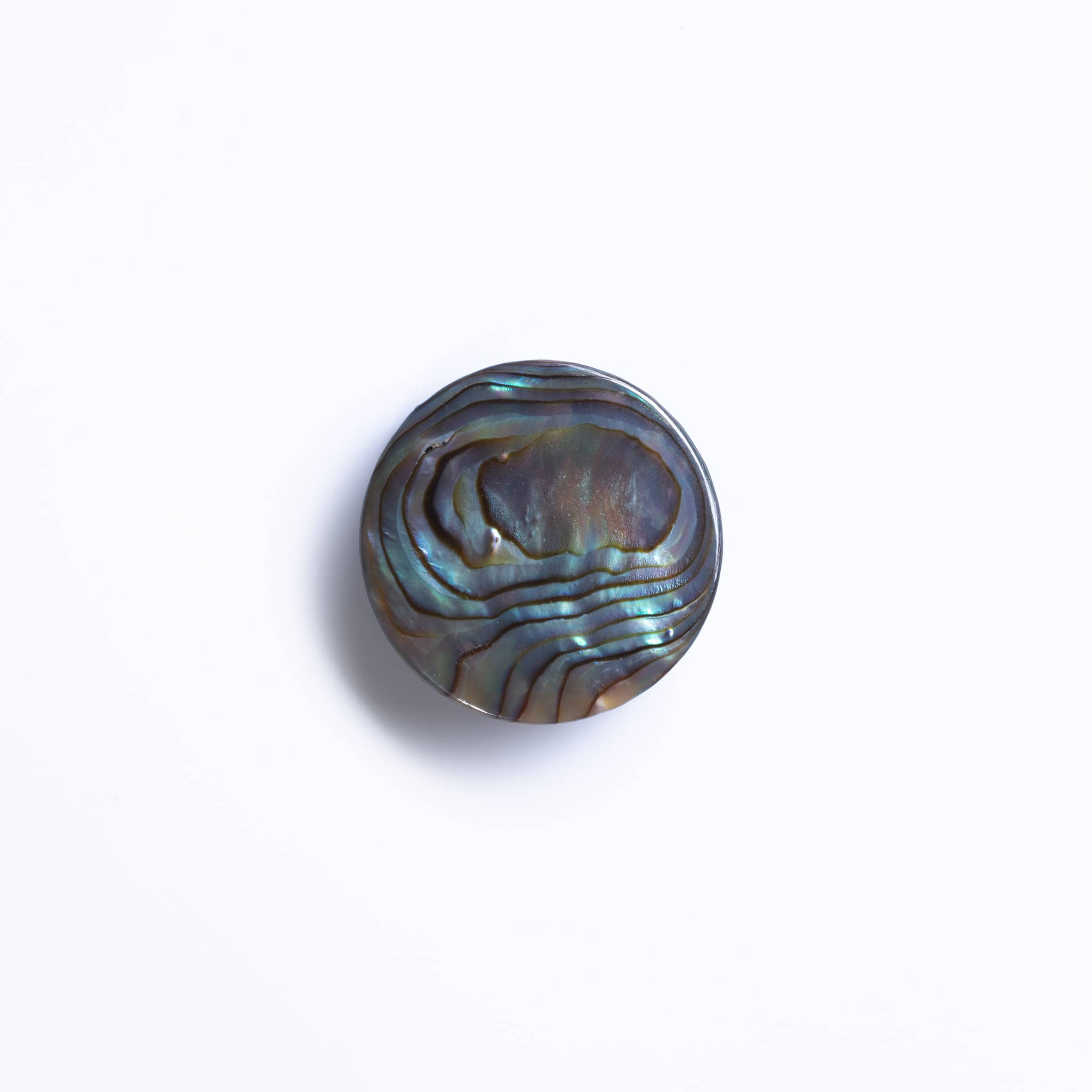 Abalone Natural