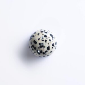 Dalmatian Jasper