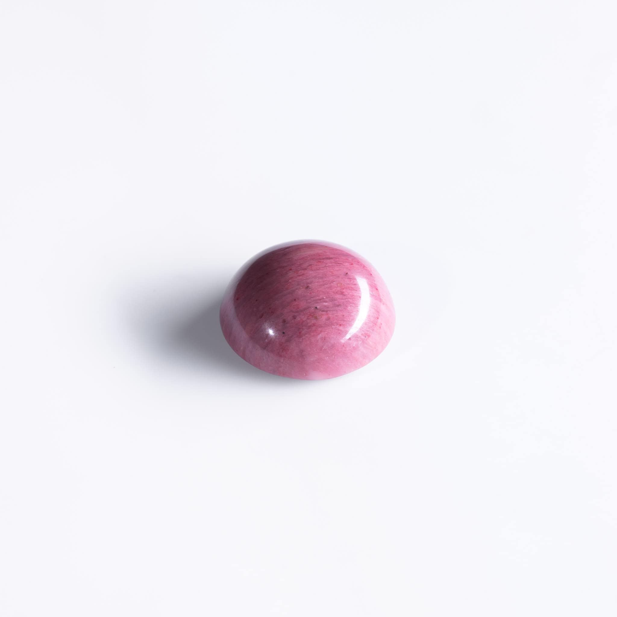 Pink Fossil - immagine 2