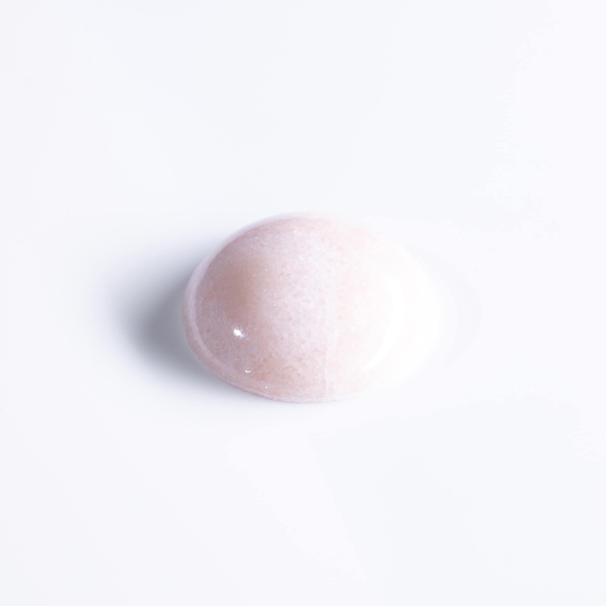 Rosa Portogallo - immagine 2