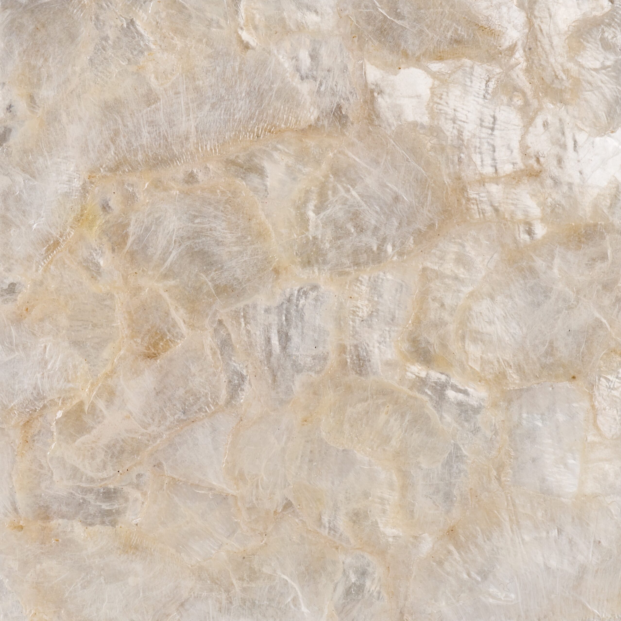 TKM.45 Cream Capiz Shell